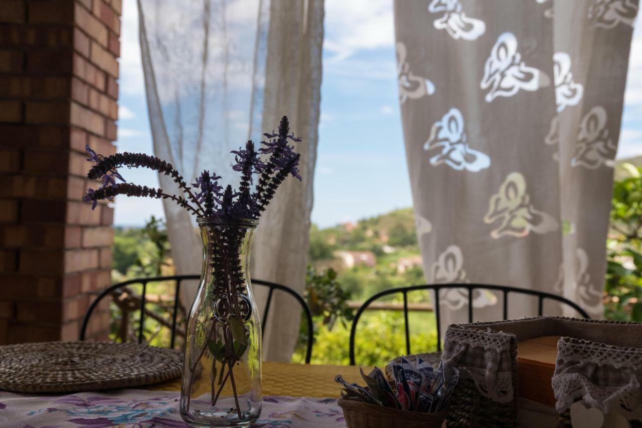 カステッラバーテ Il Brillocco Bed & Breakfast エクステリア 写真